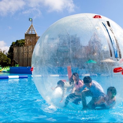 レストランスタッフ業務｜伊豆ぐらんぱる公園｜伊豆の人気観光地で、美味しい料理と笑顔で観光客をおもてなし♪