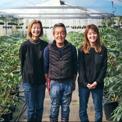 【2週間🪴鹿児島県】緑に囲まれながら、観葉植物の生産に携わるおてつたび🍃「観葉植物のまち」として、指宿市の知名度アップにも取り組みたい💪✨