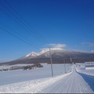 【日程調整可能です！】🍅⛄まだ雪の残る北海道富良野で、こだわりミニトマトの苗の管理作業、ハウスビニールかけ作業を中心としたお手伝いです！