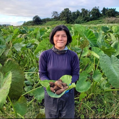 【2週間】山形で泥にまみれて自然を感じよう！里芋収穫おてつたび！