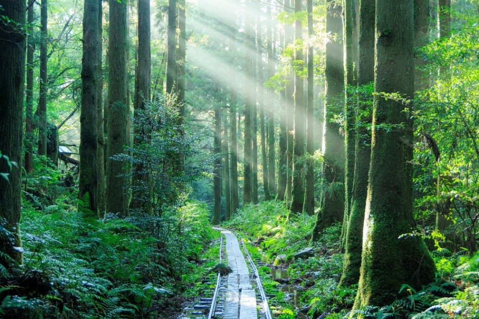 鹿児島の住み込み特集