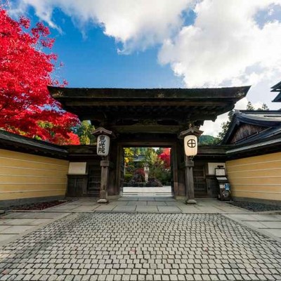 世界遺産 高野山で、宿坊のおてつたび⛰20〜30代のスタッフが中心の明るい宿坊です！美味しいまかない三食付き◎