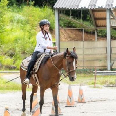標高1500mの白樺湖高原で、乗馬と大自然に囲まれた「ホープロッヂ乗馬牧場　手作りログハウスの宿」の調理スタッフとして働きませんか？